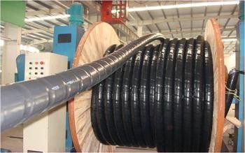 山东省德州市MKVV10*0.75生产基地 电线电缆技术开发与产业实践